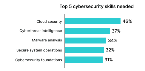 Chart on top cybersecurity staffin needs